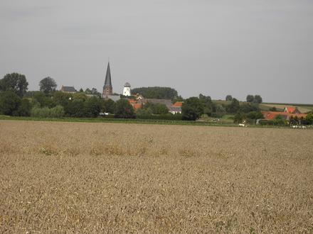 Image of Baaigem Image of Baaigem