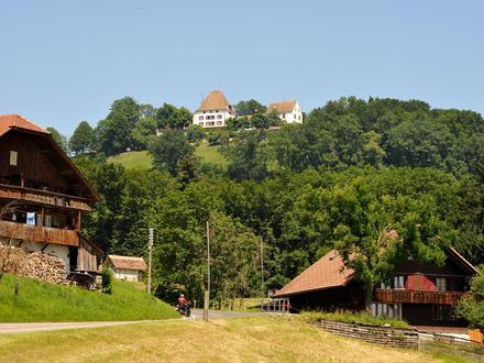 Immagine Burgistein