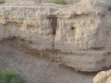 Immagine Suratgarh Immagine Suratgarh
