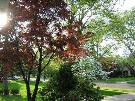 Image of Bexley, Ohio