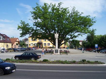 Image of Łapanów Image of Łapanów