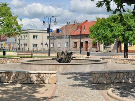 Immagine Żabno Immagine Żabno
