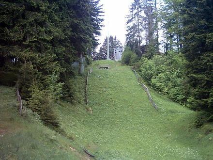 Bild von Scheidegg