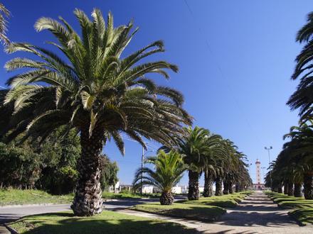 Slika La Serena Slika La Serena