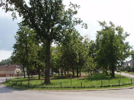 Immagine Sieciechów
