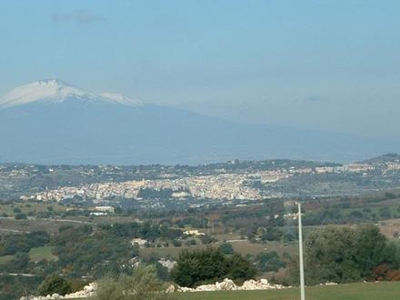 Immagine Sortino