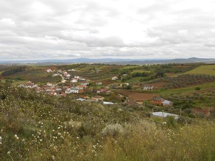 Image of Macedo do Mato