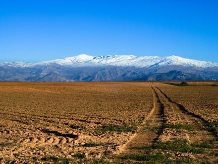 Bild von Sierra Nevada (Spanien)