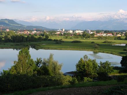 Immagine Wetzikon
