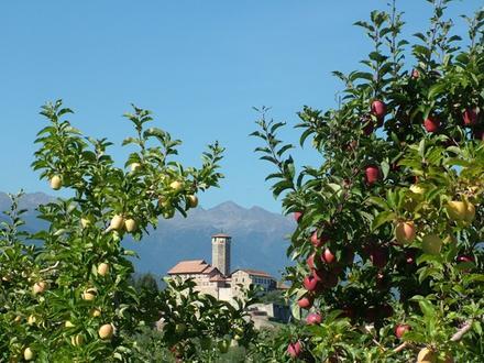 Bild von Tassullo Bild von Tassullo
