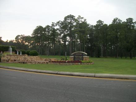 Bild på Citrus Springs, Florida
