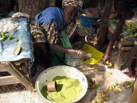 ジョアルの画像 ジョアルの画像