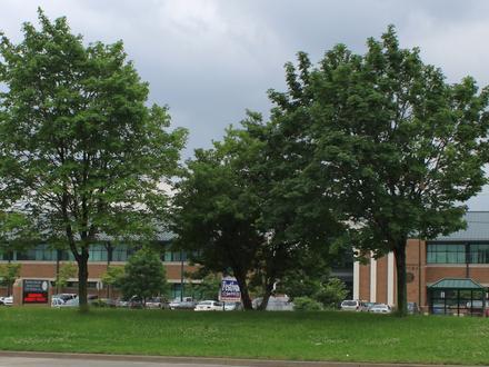 Bild von Dearborn Heights Bild von Dearborn Heights