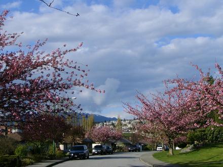 Bild på Burnaby Bild på Burnaby