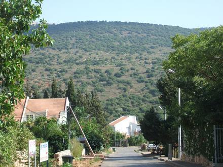 Image of Shezor Image of Shezor