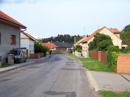 Immagine Trubín Immagine Trubín