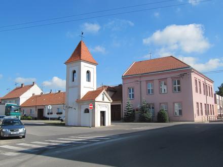 Obrázok Kostice