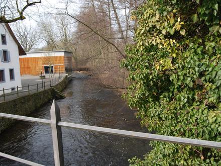 Bild von Boniswil