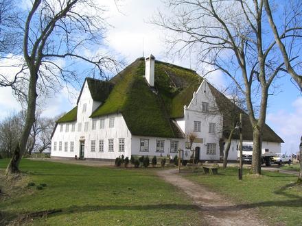 Witzwort képe
