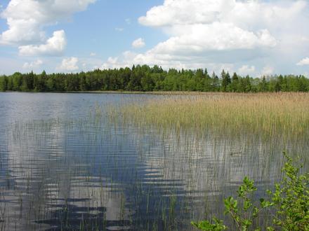 Kelmė Image