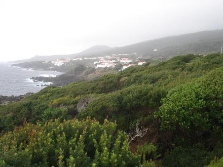 Afbeelding van São Caetano (Madalena)