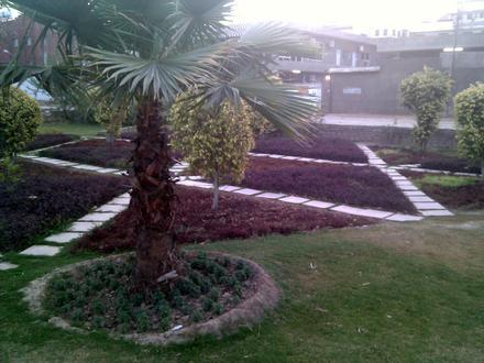 Image of Green Town