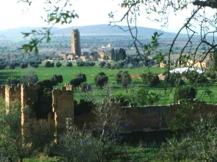 Image de Mansourah (Tlemcen)