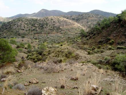 Image of Lythrodontas