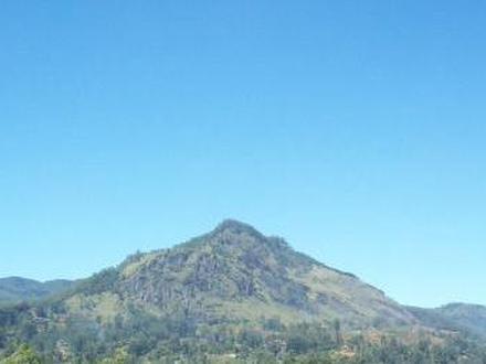 Image de Ohiya