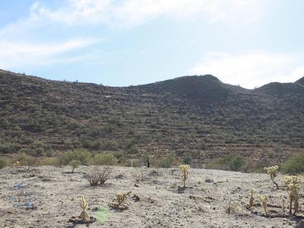 Image of Trincheras