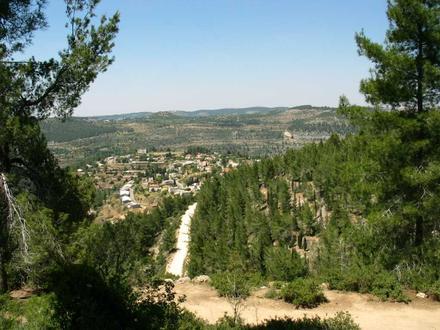 Image of Even Sapir Image of Even Sapir