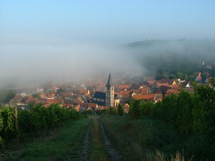 Bild von Randersacker Bild von Randersacker