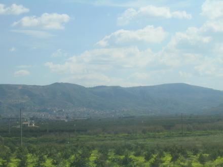 Immagine Palagonia Immagine Palagonia