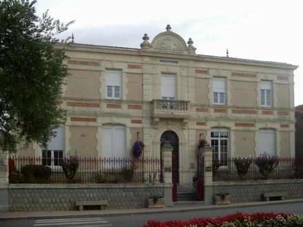Immagine Vinassan Immagine Vinassan