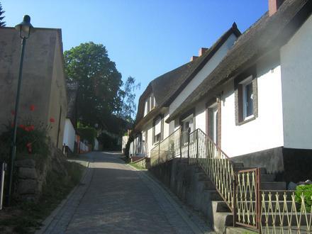 Bild von Kamminke Bild von Kamminke