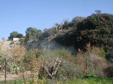 Image of Maroni