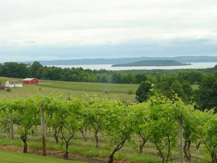 Immagine Traverse City