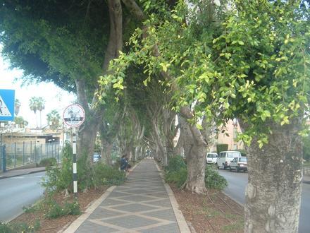 Imahe ng Kiryat Atta