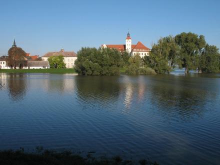 Pretzsch, Wittenberg Image