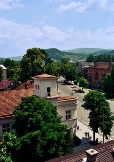 Svalyava Image