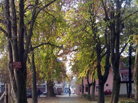 Bild von Šamac