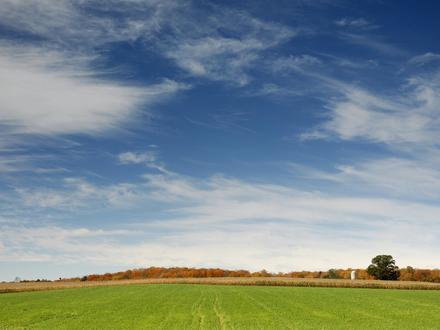 Image of Floradale, Ontario