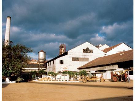 Imagen de Martí
