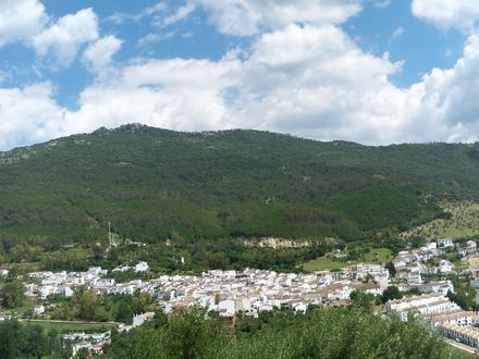Imatge de El Bosque Imatge de El Bosque