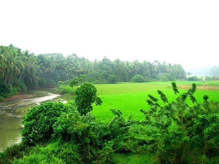 Image of Kottakkal Image of Kottakkal