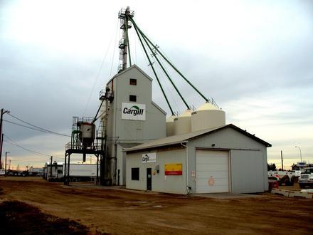 Afbeelding van Spruce Grove Afbeelding van Spruce Grove