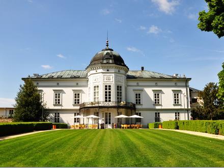 Bild von Beladice Bild von Beladice