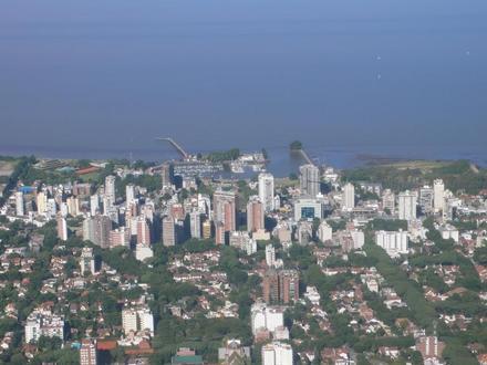 Immagine Olivos