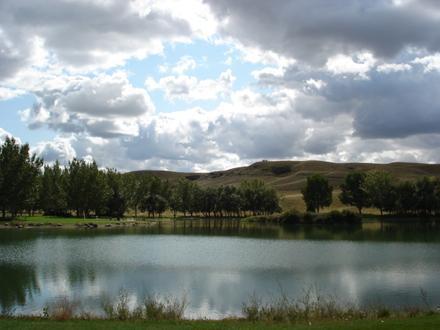 Afbeelding van Medicine Hat Afbeelding van Medicine Hat