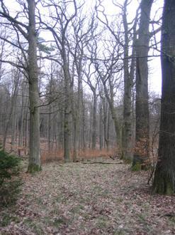 Bild von Jesberg Bild von Jesberg